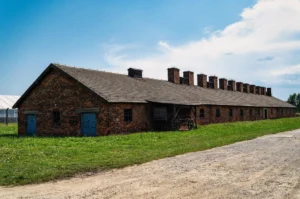 Rows of preserved wooden barracks at Birkenau, surrounded by trees and a wide open field.